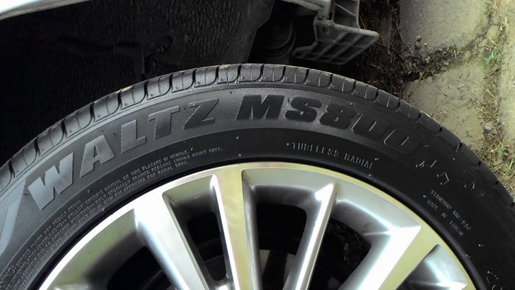 原廠16鋁圈加馬吉斯MS800輪胎換貼原廠15吋胎圈